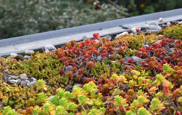 the cost of Northorpe green roof installation