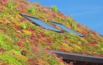 Northorpe living roof systems