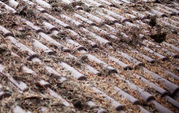 Northorpe roof cleaning companies