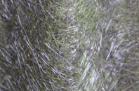 Northorpe fibreglass roof work